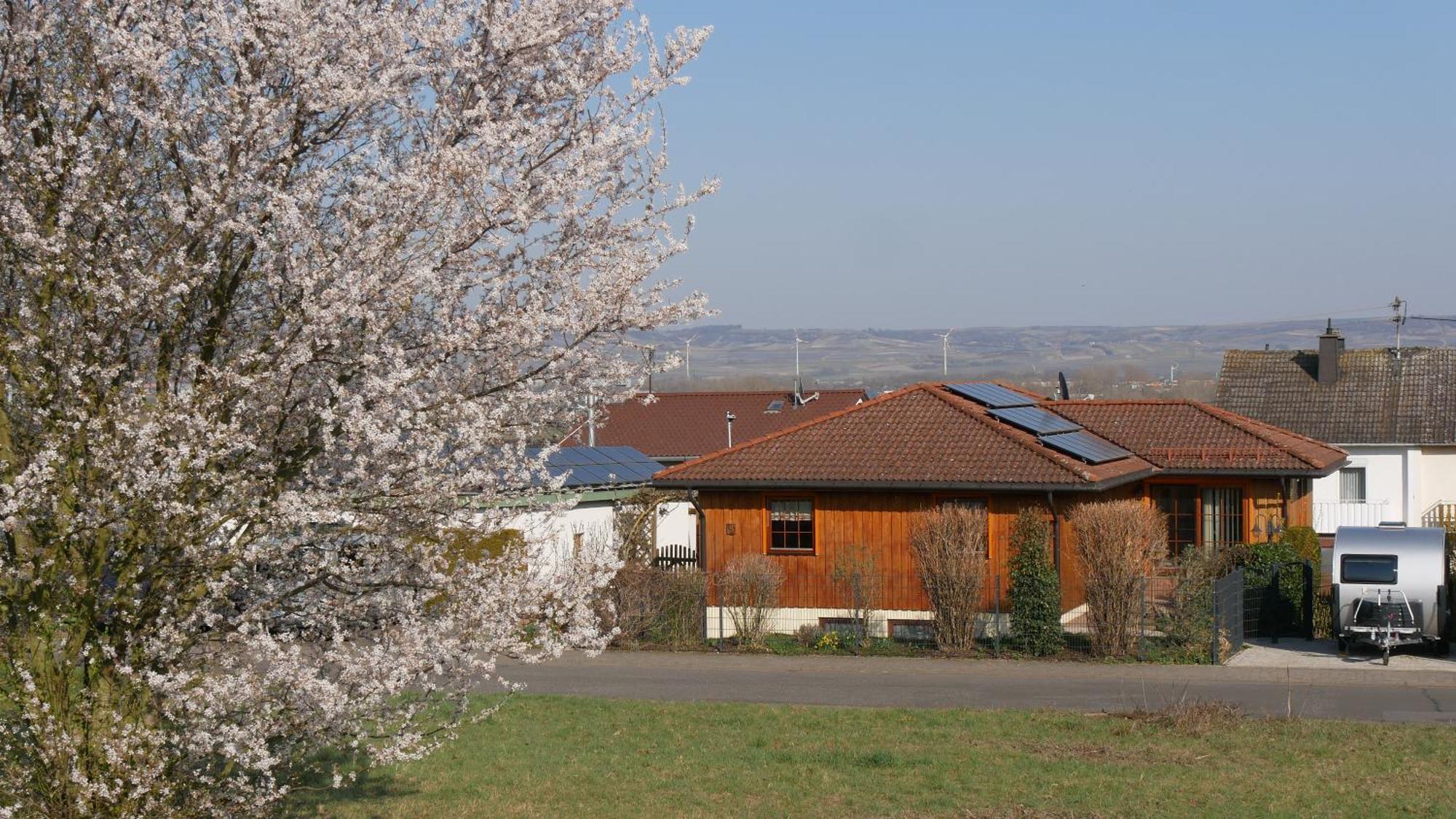 Ferienwohnung An Den Weingaerten Langenlonsheim 외부 사진